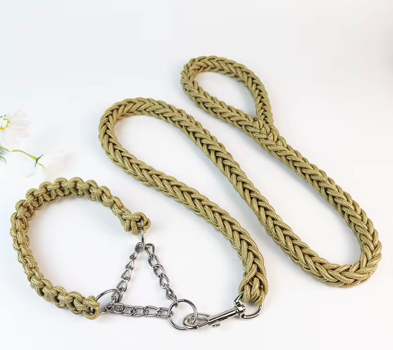 Pre Order Collar & Leash Set