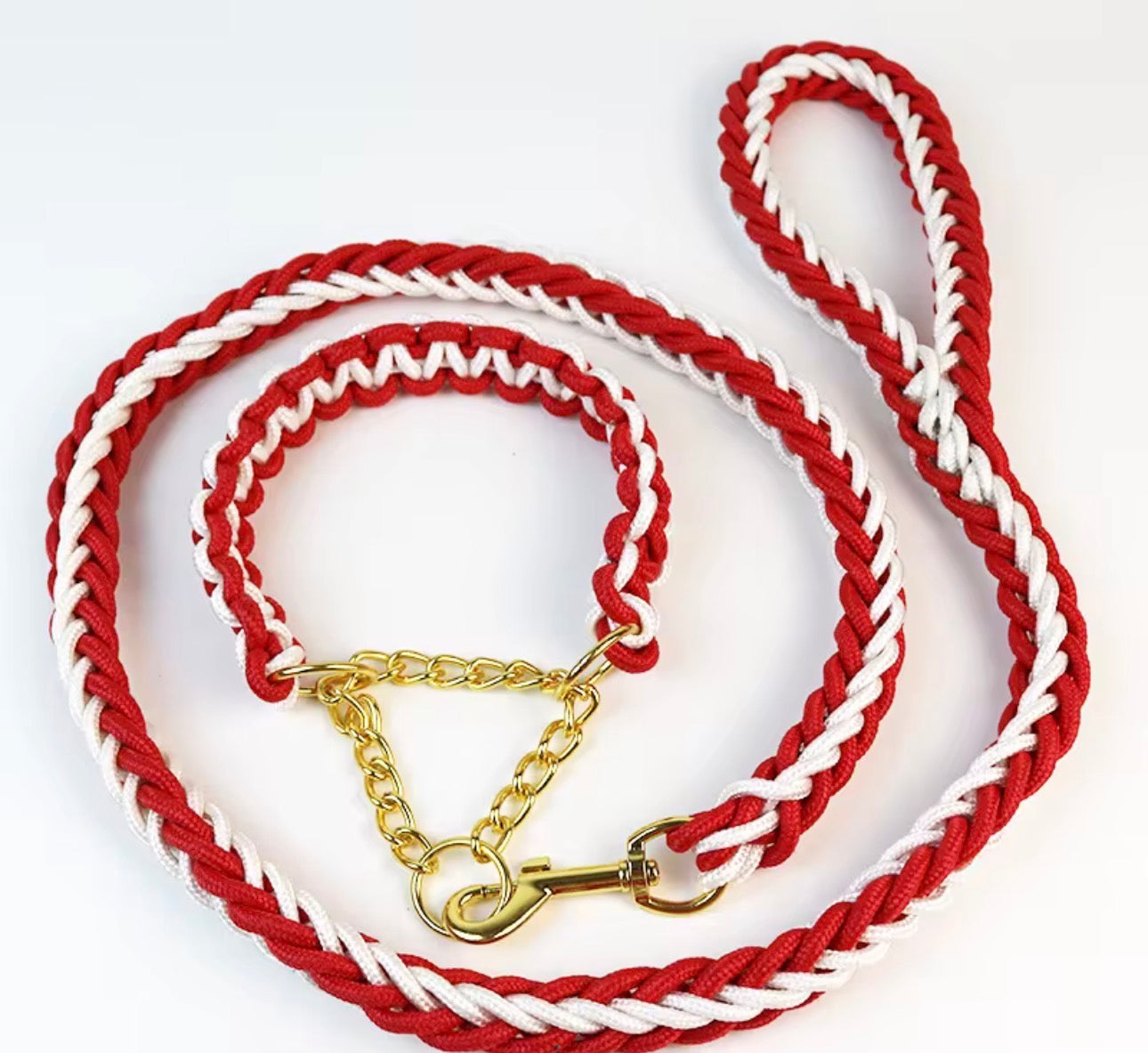 Two Tone Collar & Leash set PRE-ORDER