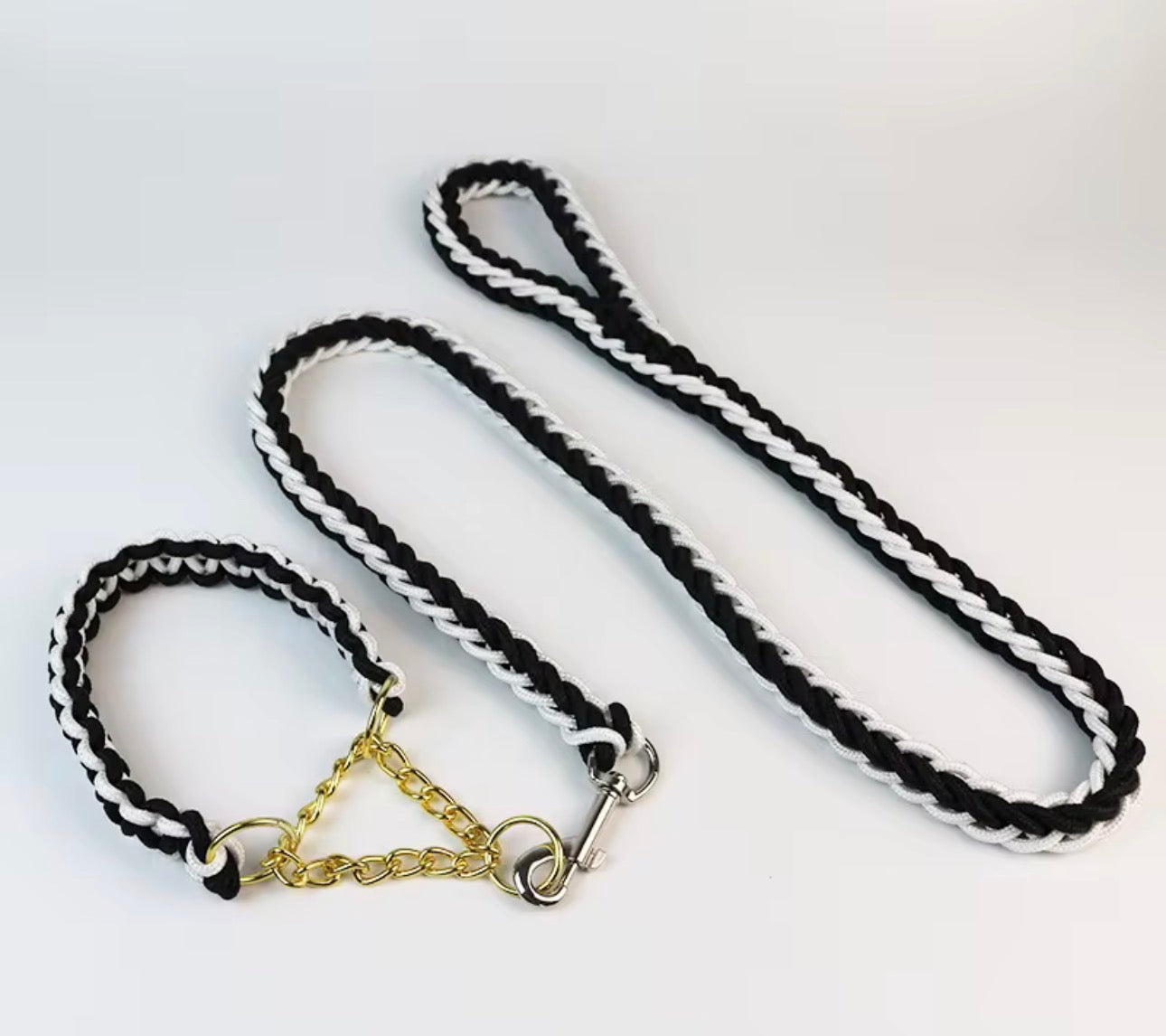 Two Tone Collar & Leash set PRE-ORDER